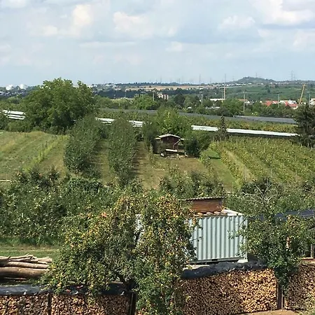 Apartment Ferienwohnungen Weinstadt